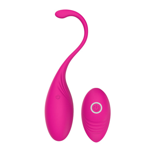 Culotte portable vibrante, vibrateur vaginal Kegel, 10 vitesses, avec télécommande, point G, jouets à balles pour femmes